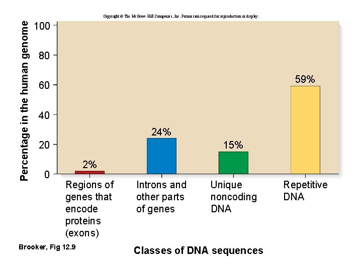 Percentage in the human genome Copyright © The Mc. Graw-Hill Companies, Inc. Permission required