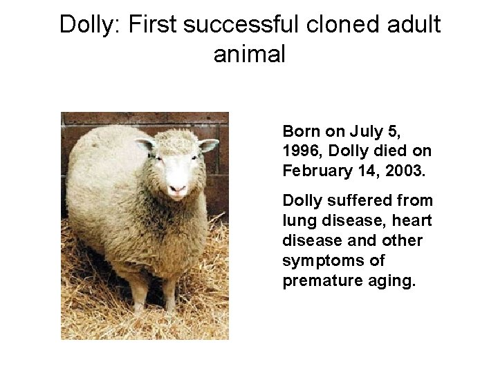 Dolly: First successful cloned adult animal Born on July 5, 1996, Dolly died on