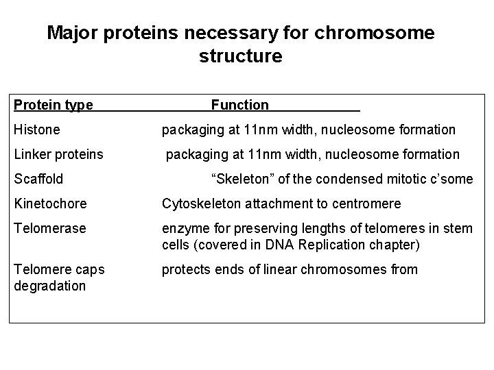 Major proteins necessary for chromosome structure Protein type Function Histone packaging at 11 nm