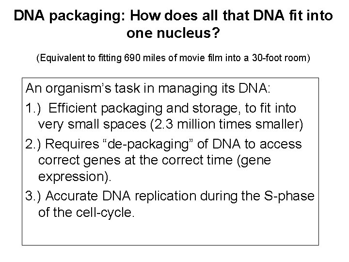 DNA packaging: How does all that DNA fit into one nucleus? (Equivalent to fitting