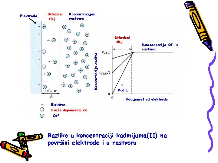 Difuzioni sloj Koncentracijau rastvoru Difuzioni sloj Koncentracija analita Elektroda Koncenreacija Cd 2+ u rastvoru