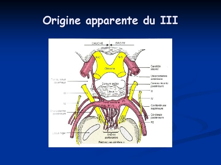 Origine apparente du III Origine apparente du III