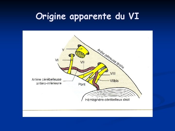 Origine apparente du VI Origine apparente du VI