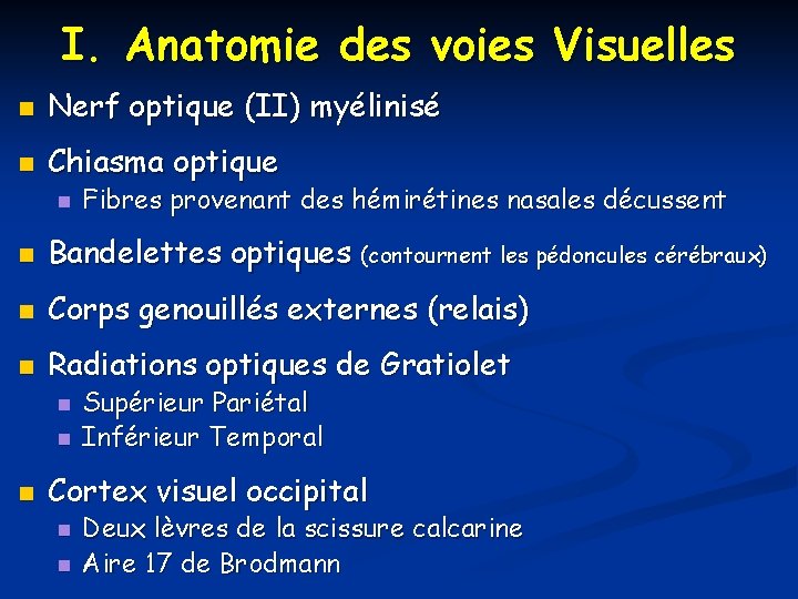 I. Anatomie des voies Visuelles n Nerf optique (II) myélinisé n Chiasma optique n I. Anatomie des voies Visuelles n Nerf optique (II) myélinisé n Chiasma optique n