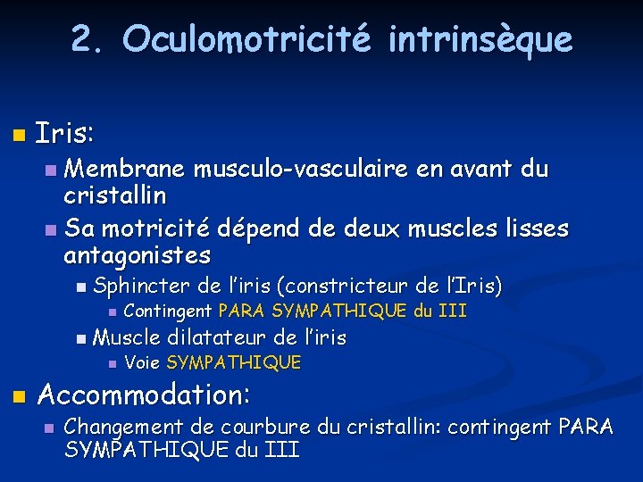 2. Oculomotricité intrinsèque n Iris: Membrane musculo-vasculaire en avant du cristallin n Sa motricité 2. Oculomotricité intrinsèque n Iris: Membrane musculo-vasculaire en avant du cristallin n Sa motricité