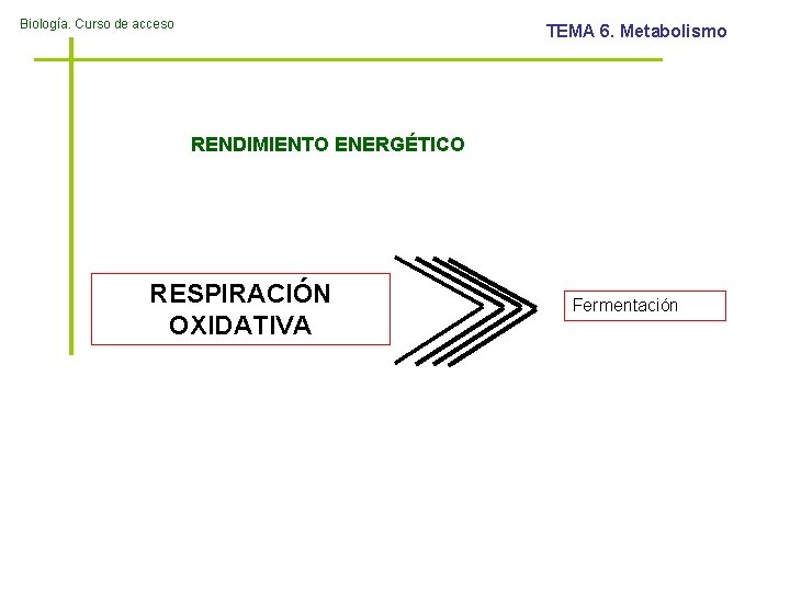 Biología. Curso de acceso TEMA 6. Metabolismo RENDIMIENTO ENERGÉTICO RESPIRACIÓN OXIDATIVA Fermentación 