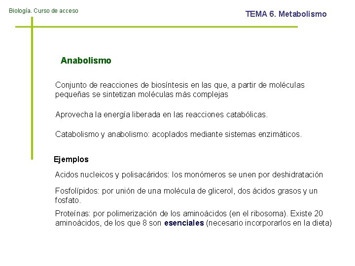 Biología. Curso de acceso TEMA 6. Metabolismo Anabolismo Conjunto de reacciones de biosíntesis en