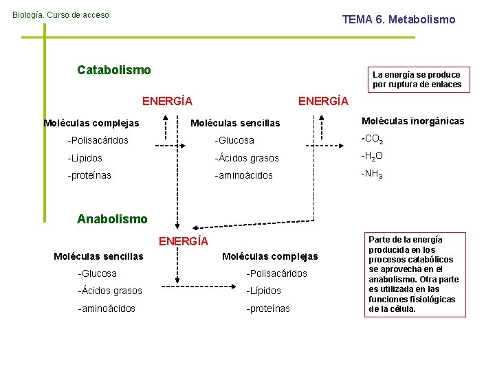 Biología. Curso de acceso TEMA 6. Metabolismo Catabolismo La energía se produce por ruptura