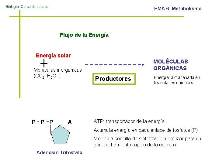 Biología. Curso de acceso TEMA 6. Metabolismo Flujo de la Energía solar Moléculas inorgánicas