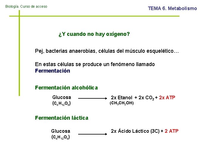 Biología. Curso de acceso TEMA 6. Metabolismo ¿Y cuando no hay oxígeno? Pej, bacterias