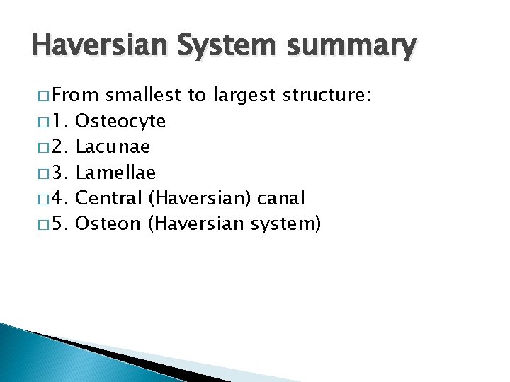 Haversian System summary � From � 1. � 2. � 3. � 4. �