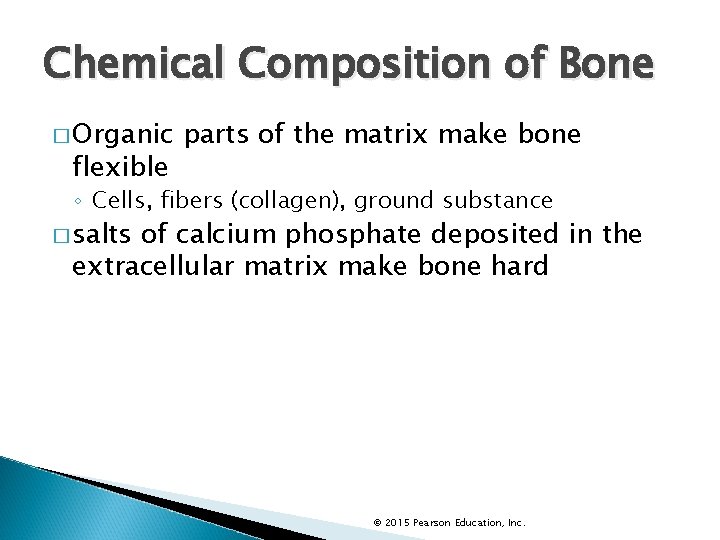 Chemical Composition of Bone � Organic flexible parts of the matrix make bone ◦