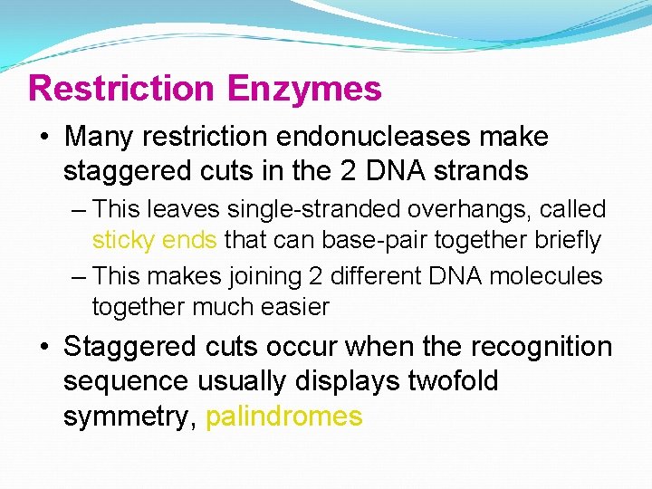 Restriction Enzymes • Many restriction endonucleases make staggered cuts in the 2 DNA strands