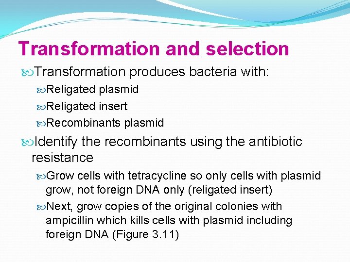 Transformation and selection Transformation produces bacteria with: Religated plasmid Religated insert Recombinants plasmid Identify