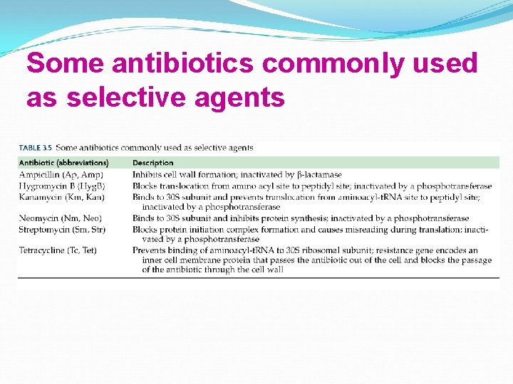 Some antibiotics commonly used as selective agents 