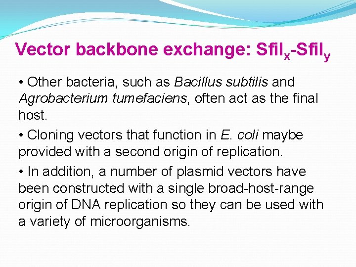 Vector backbone exchange: Sfi. Ix-Sfi. Iy • Other bacteria, such as Bacillus subtilis and