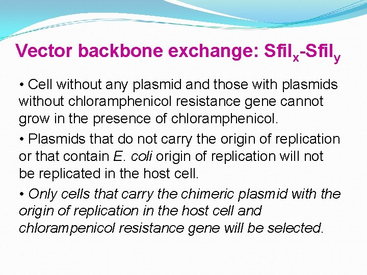 Vector backbone exchange: Sfi. Ix-Sfi. Iy • Cell without any plasmid and those with