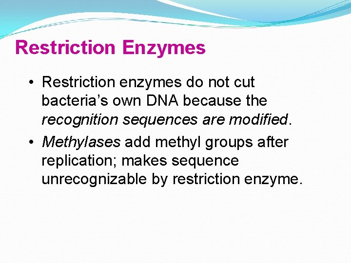 Restriction Enzymes • Restriction enzymes do not cut bacteria’s own DNA because the recognition