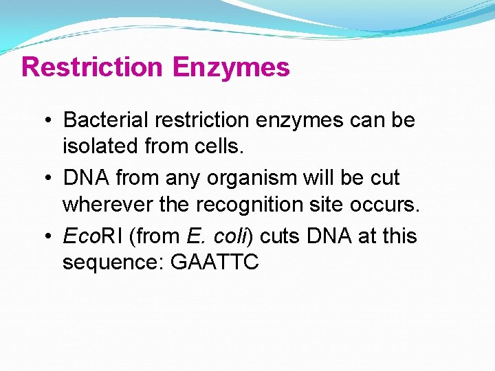 Restriction Enzymes • Bacterial restriction enzymes can be isolated from cells. • DNA from