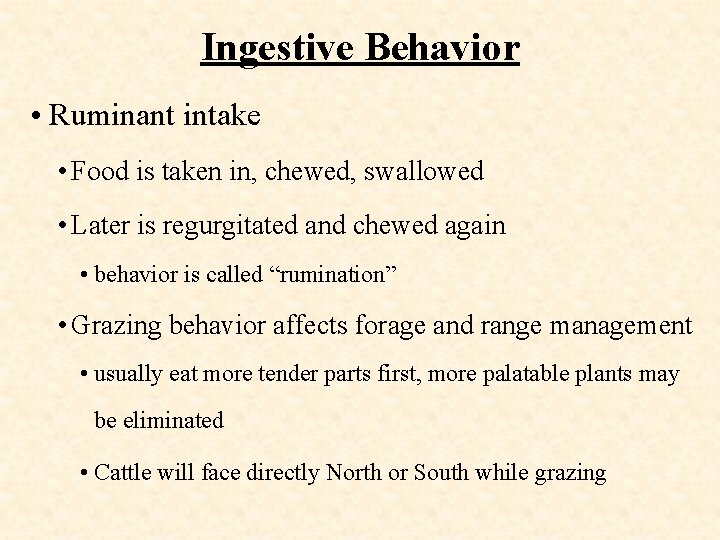 Ingestive Behavior • Ruminant intake • Food is taken in, chewed, swallowed • Later