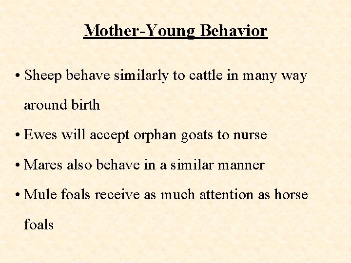 Mother-Young Behavior • Sheep behave similarly to cattle in many way around birth •