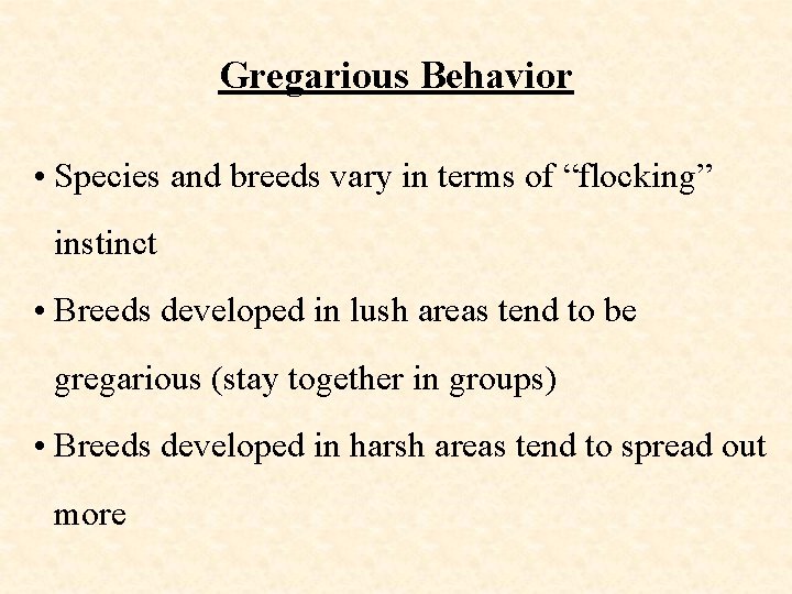 Gregarious Behavior • Species and breeds vary in terms of “flocking” instinct • Breeds