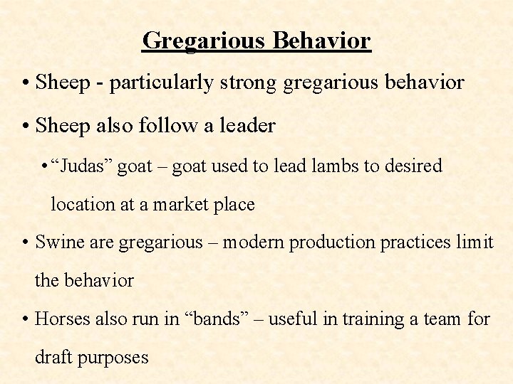 Gregarious Behavior • Sheep - particularly strong gregarious behavior • Sheep also follow a