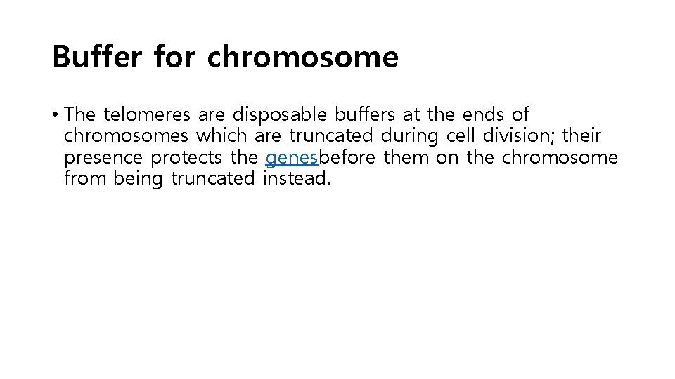 Buffer for chromosome • The telomeres are disposable buffers at the ends of chromosomes