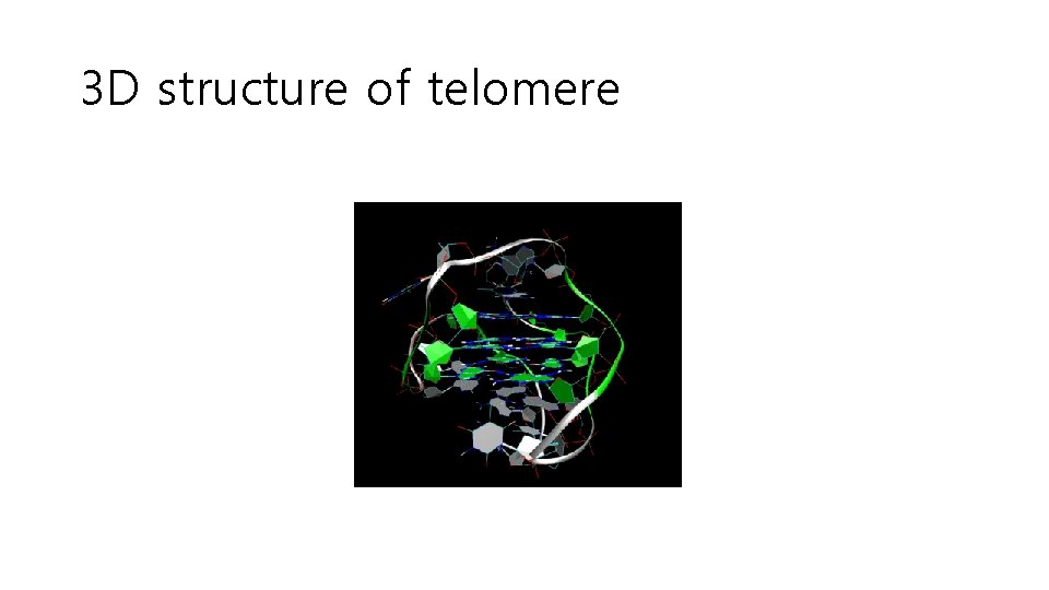3 D structure of telomere 