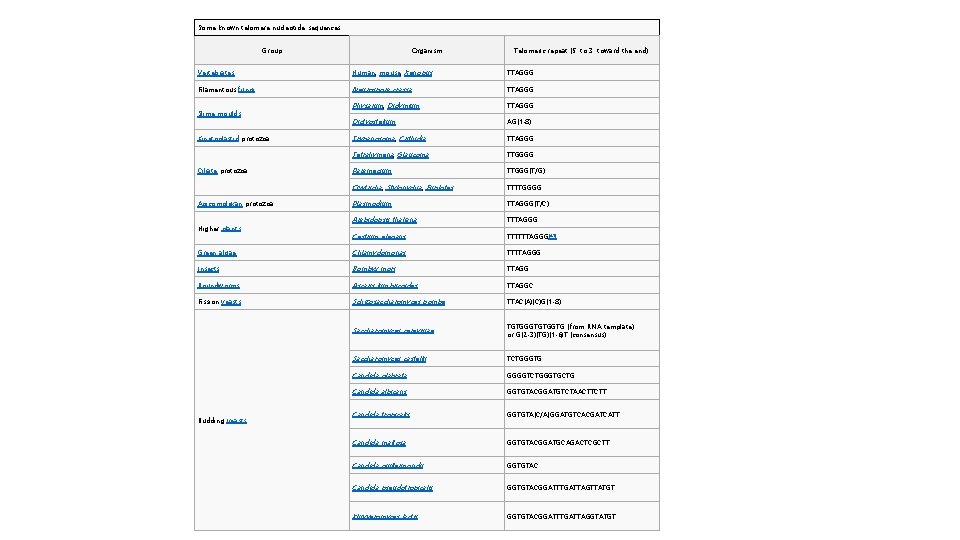 Some known telomere nucleotide sequences Group Organism Telomeric repeat (5' to 3' toward the