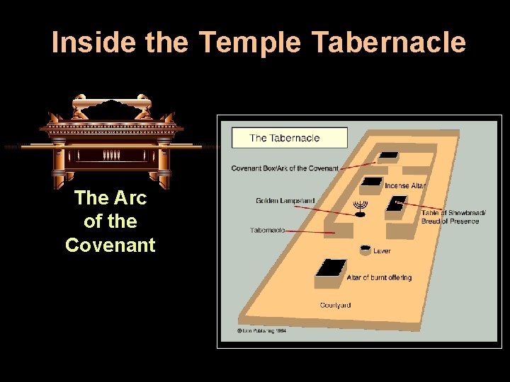 Inside the Temple Tabernacle The Arc of the Covenant 