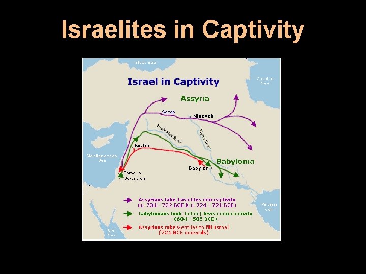 Israelites in Captivity 
