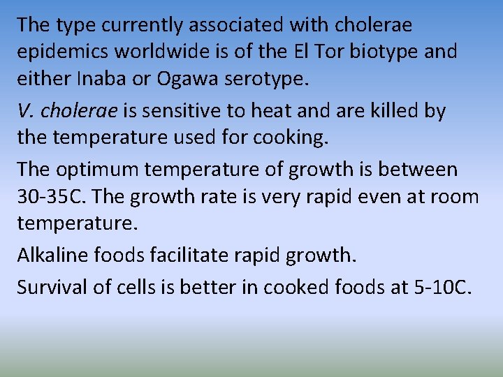 The type currently associated with cholerae epidemics worldwide is of the El Tor biotype