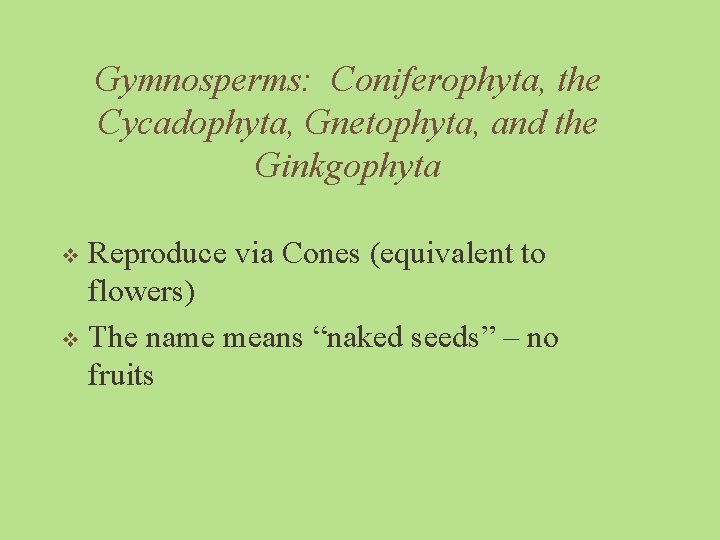 Gymnosperms: Coniferophyta, the Cycadophyta, Gnetophyta, and the Ginkgophyta Reproduce via Cones (equivalent to flowers)