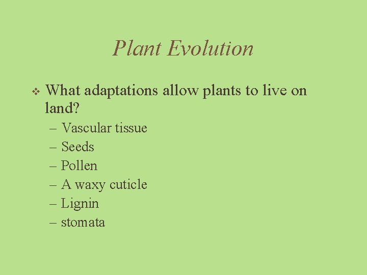 Plant Evolution v What adaptations allow plants to live on land? – Vascular tissue
