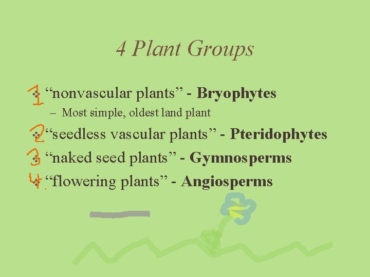 4 Plant Groups v “nonvascular plants” - Bryophytes – Most simple, oldest land plant