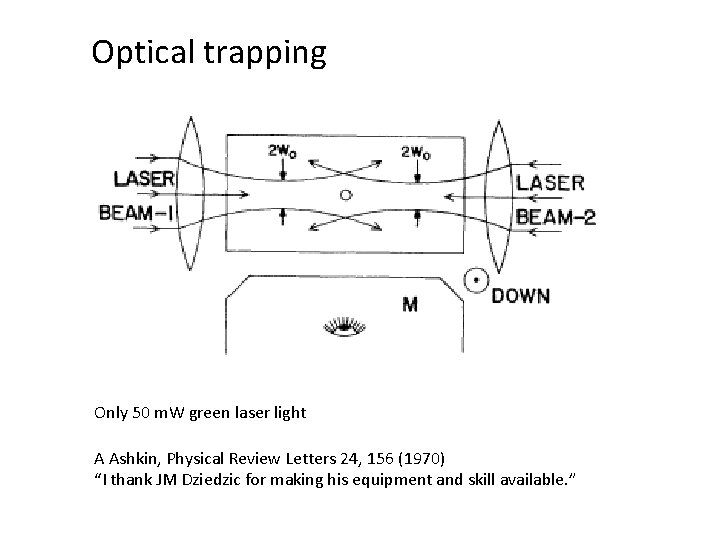 Optical trapping Only 50 m. W green laser light A Ashkin, Physical Review Letters