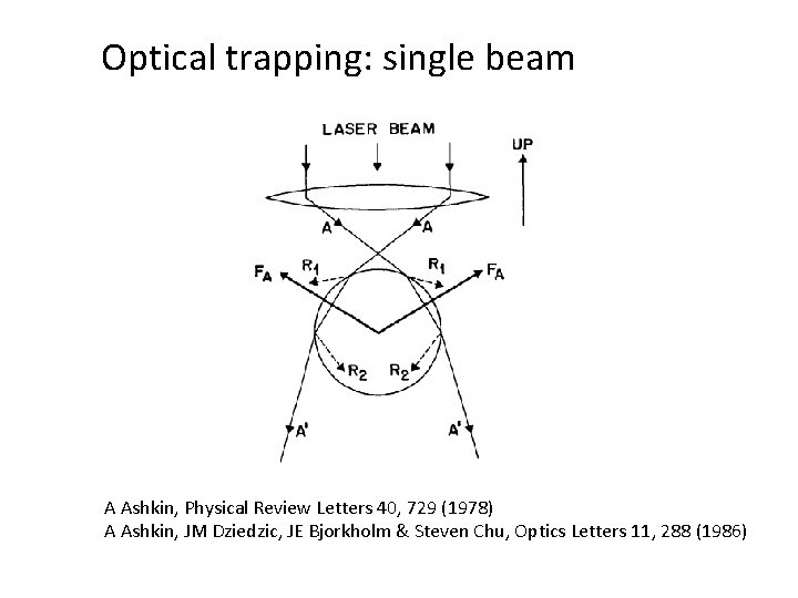 Optical trapping: single beam A Ashkin, Physical Review Letters 40, 729 (1978) A Ashkin,