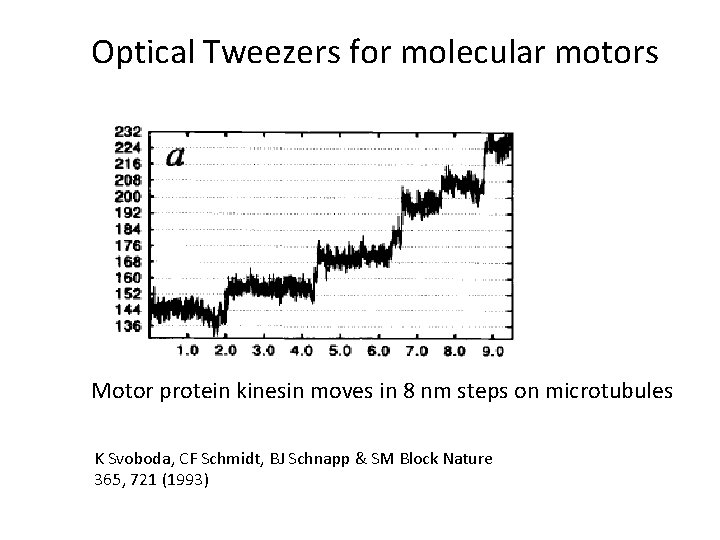 Optical Tweezers for molecular motors Motor protein kinesin moves in 8 nm steps on