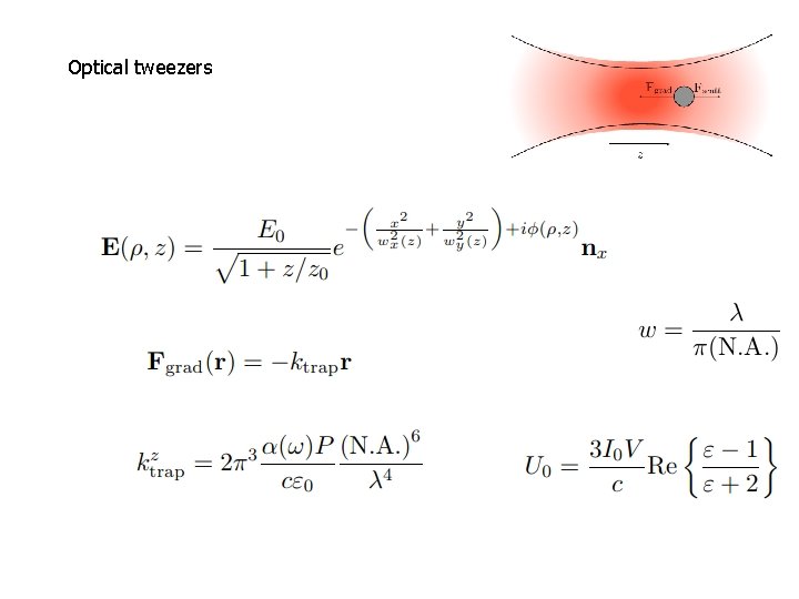 Optical tweezers 