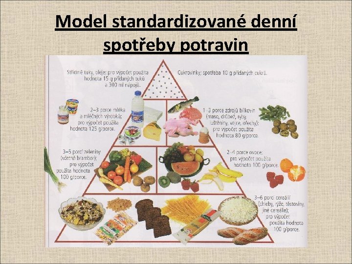 Model standardizované denní spotřeby potravin 