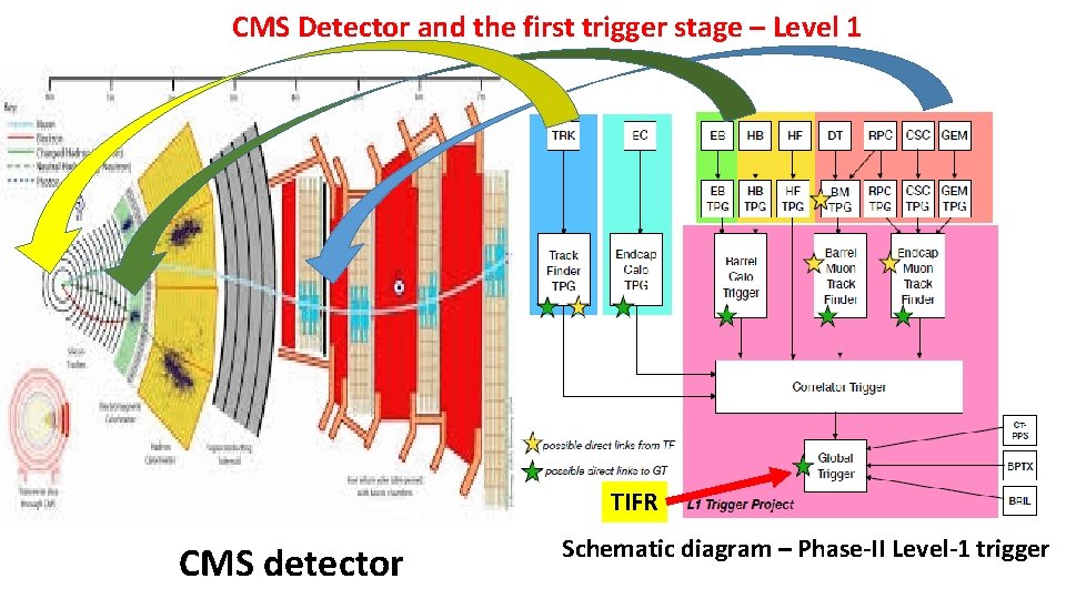 CMS Detector and the first trigger stage – Level 1 TIFR CMS detector Schematic