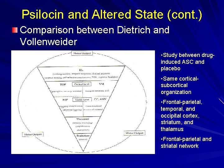 Psilocin and Altered State (cont. ) Comparison between Dietrich and Vollenweider • Study between