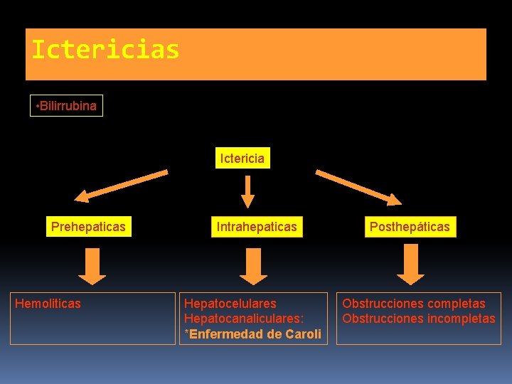 Ictericias • Bilirrubina Ictericia Prehepaticas Hemoliticas Intrahepaticas Hepatocelulares Hepatocanaliculares: *Enfermedad de Caroli Posthepáticas Obstrucciones