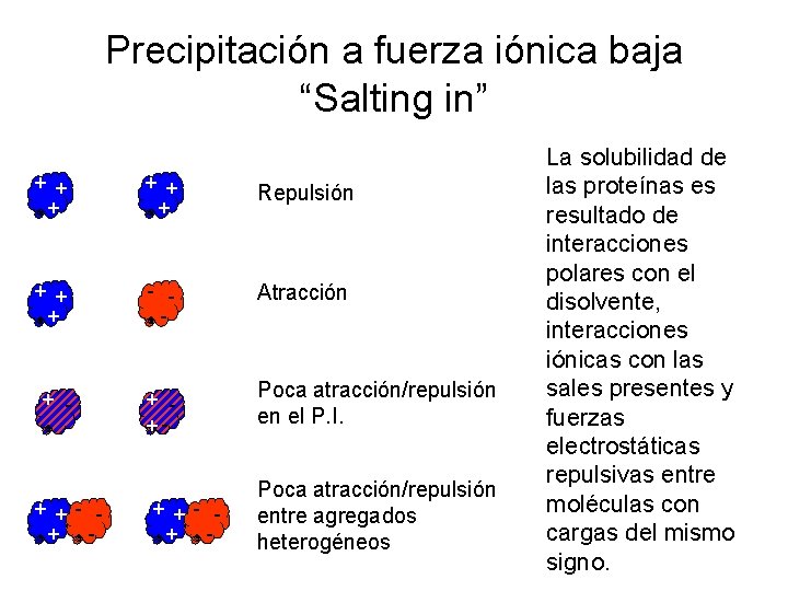 Precipitación a fuerza iónica baja “Salting in” + + + Repulsión + + +