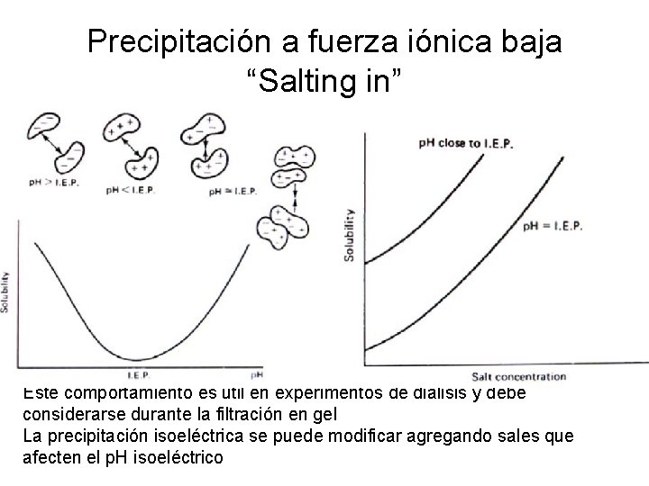 Precipitación a fuerza iónica baja “Salting in” Este comportamiento es útil en experimentos de