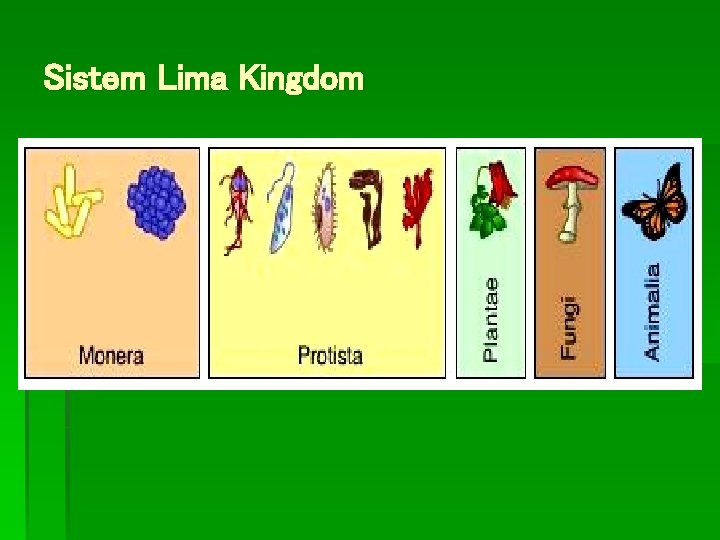 Sistem Lima Kingdom 