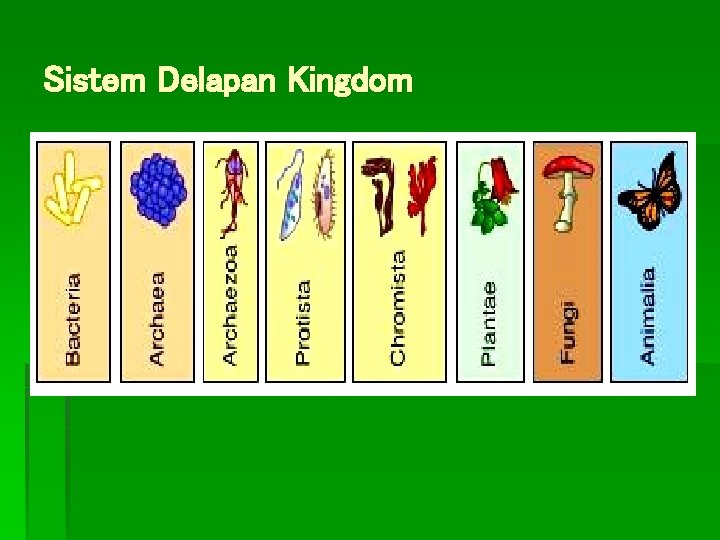 Sistem Delapan Kingdom 