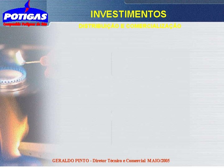 INVESTIMENTOS DISTRIBUIÇÃO E COMERCIALIZAÇÃO GERALDO PINTO - Diretor Técnico e Comercial MAIO/2005 