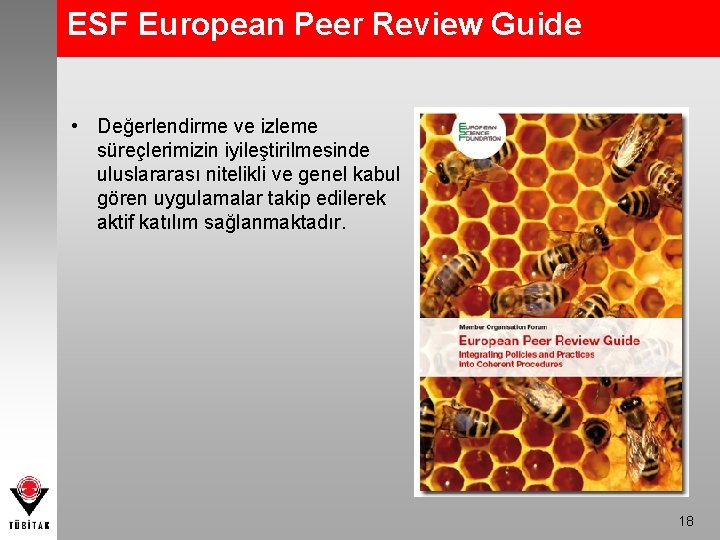 ESF European Peer Review Guide • Değerlendirme ve izleme süreçlerimizin iyileştirilmesinde uluslararası nitelikli ve